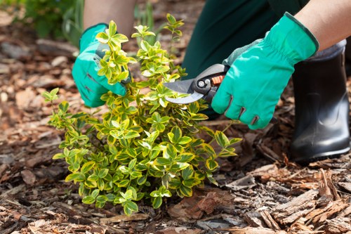 Inspection of garden beds by a gardener
